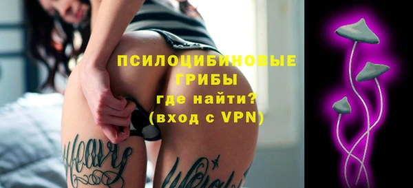 ALPHA PVP Белокуриха