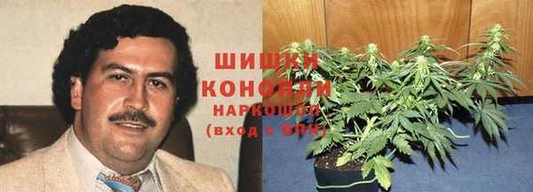 ALPHA PVP Белокуриха