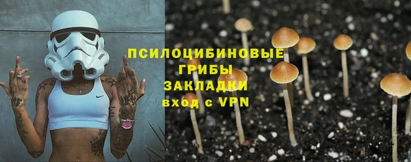 ALPHA PVP Белокуриха