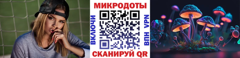 Галлюциногенные грибы Psilocybine cubensis  Губкинский 