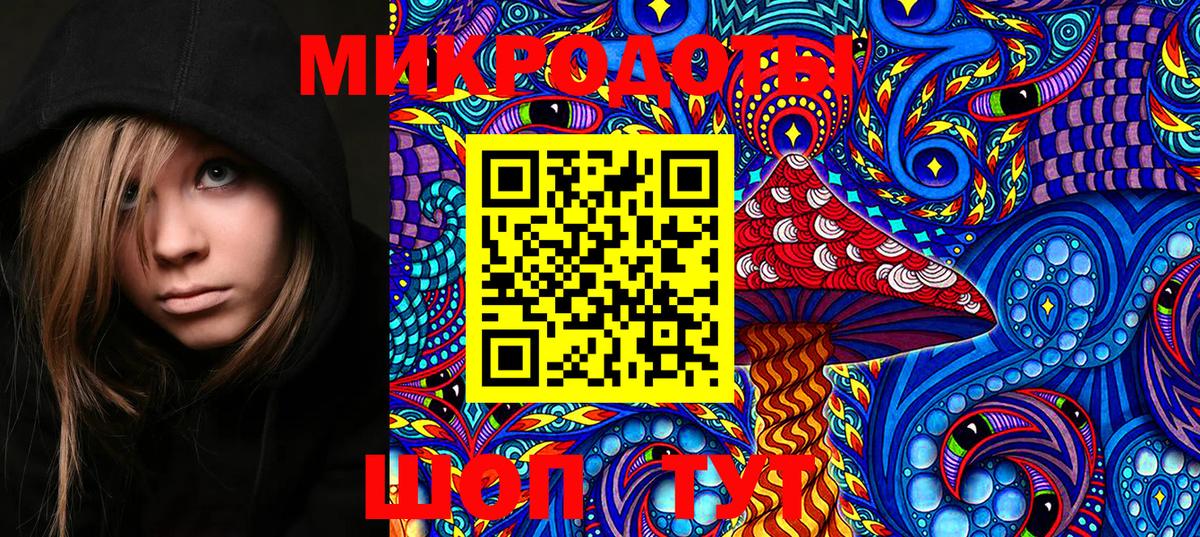 Галлюциногенные грибы GOLDEN TEACHER Губкинский